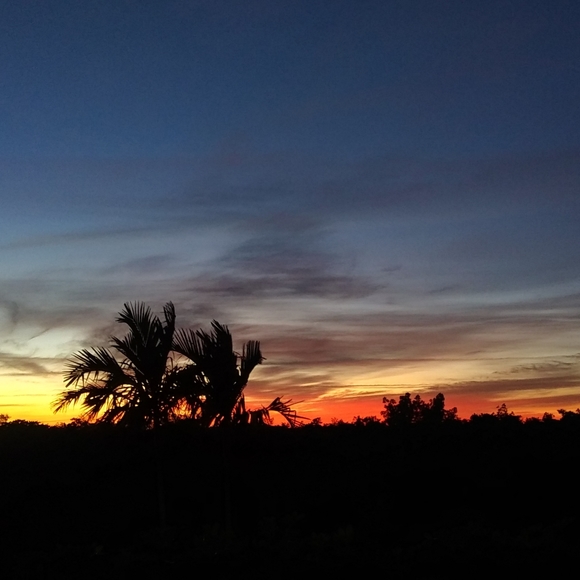 Meet your Posher, Matthew - Picture 3 of 3